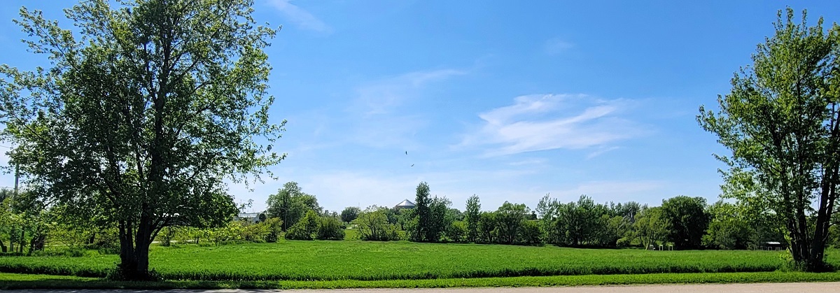 903 Brook Meadow Drive Compton, IL 61318 - Photo 2 of 9 a view of a city with lush green forest
