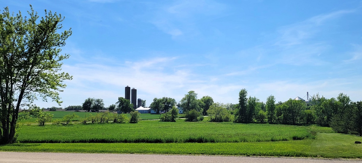 903 Brook Meadow Drive Compton, IL 61318 - Photo 3 of 9 a view of a green field