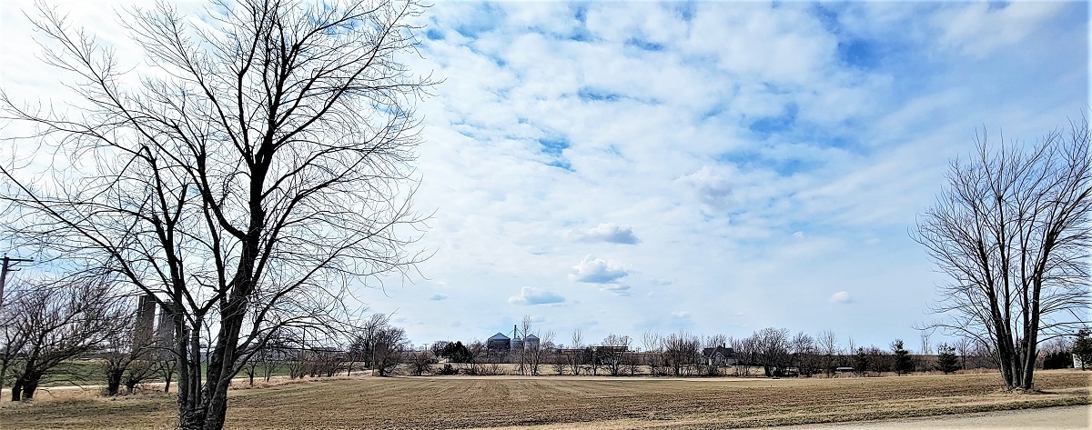 903 Brook Meadow Drive Compton, IL 61318 - Photo 4 of 9