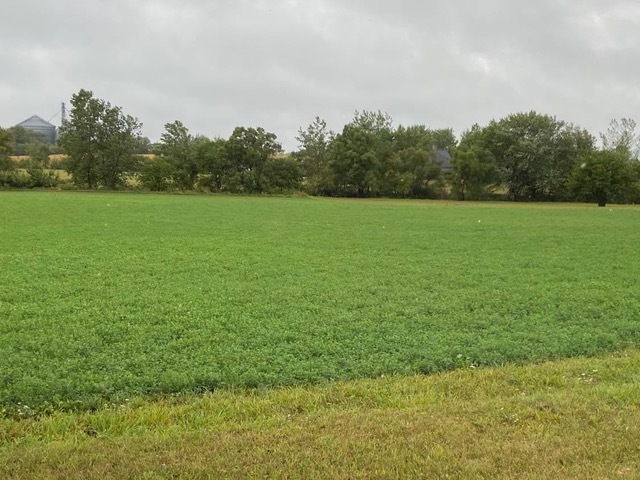 903 Brook Meadow Drive Compton, IL 61318 - Photo 8 of 9 a view of a green field with wooden fence