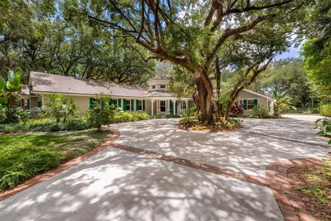 a view of a yard with plants and trees