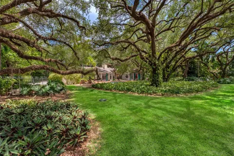 a house with a tree in front of it