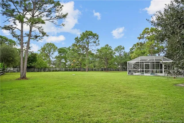 a view of green field with tree in the background