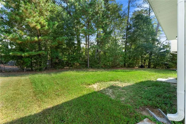 a view of yard with green space