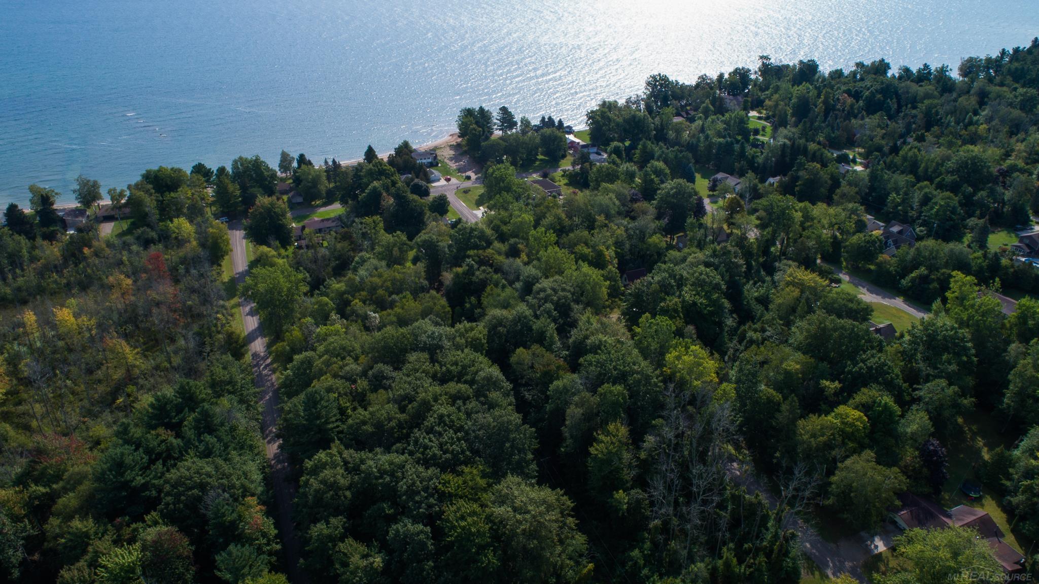 0 Schott Road Harbor Beach, MI 48441 - Photo 8 of 16