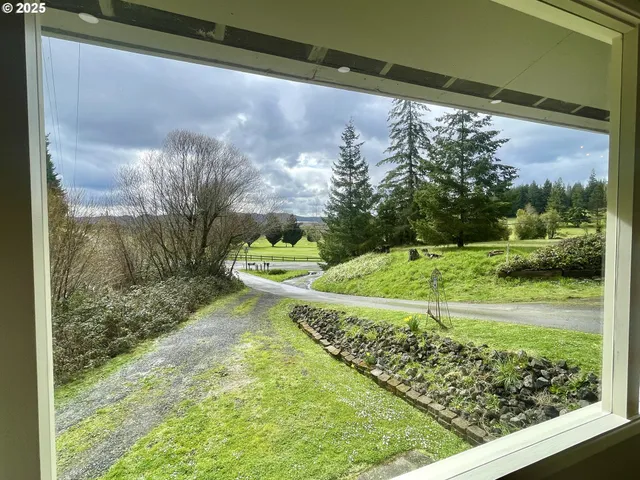 a view of backyard with a barn and a large tree