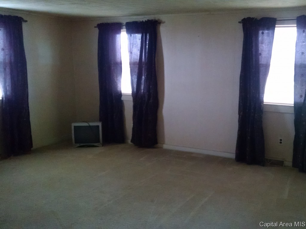 607 Old Rte 36 Alexander, IL 62601 - Photo 2 of 16 Gallery Image 2