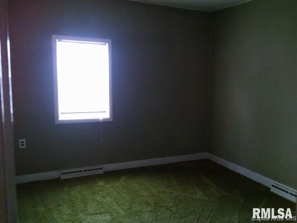 607 Old Rte 36 Alexander, IL 62601 - Photo 4 of 16 Gallery Image 4