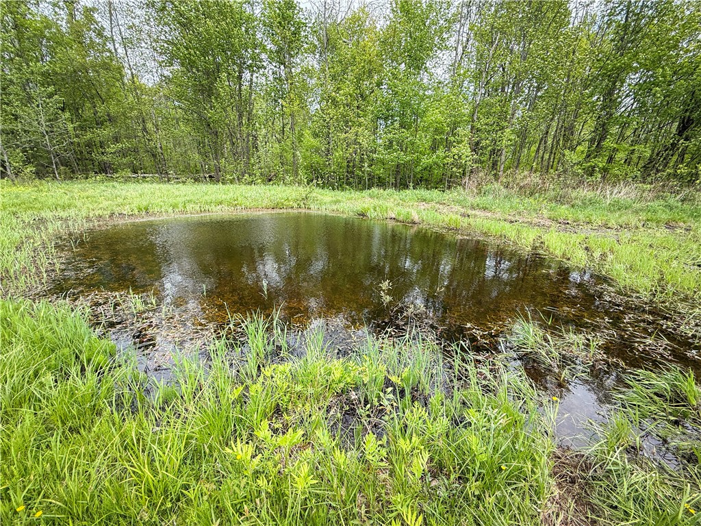 Gifford Road Hannibal, NY 13074 - Photo 13 of 50