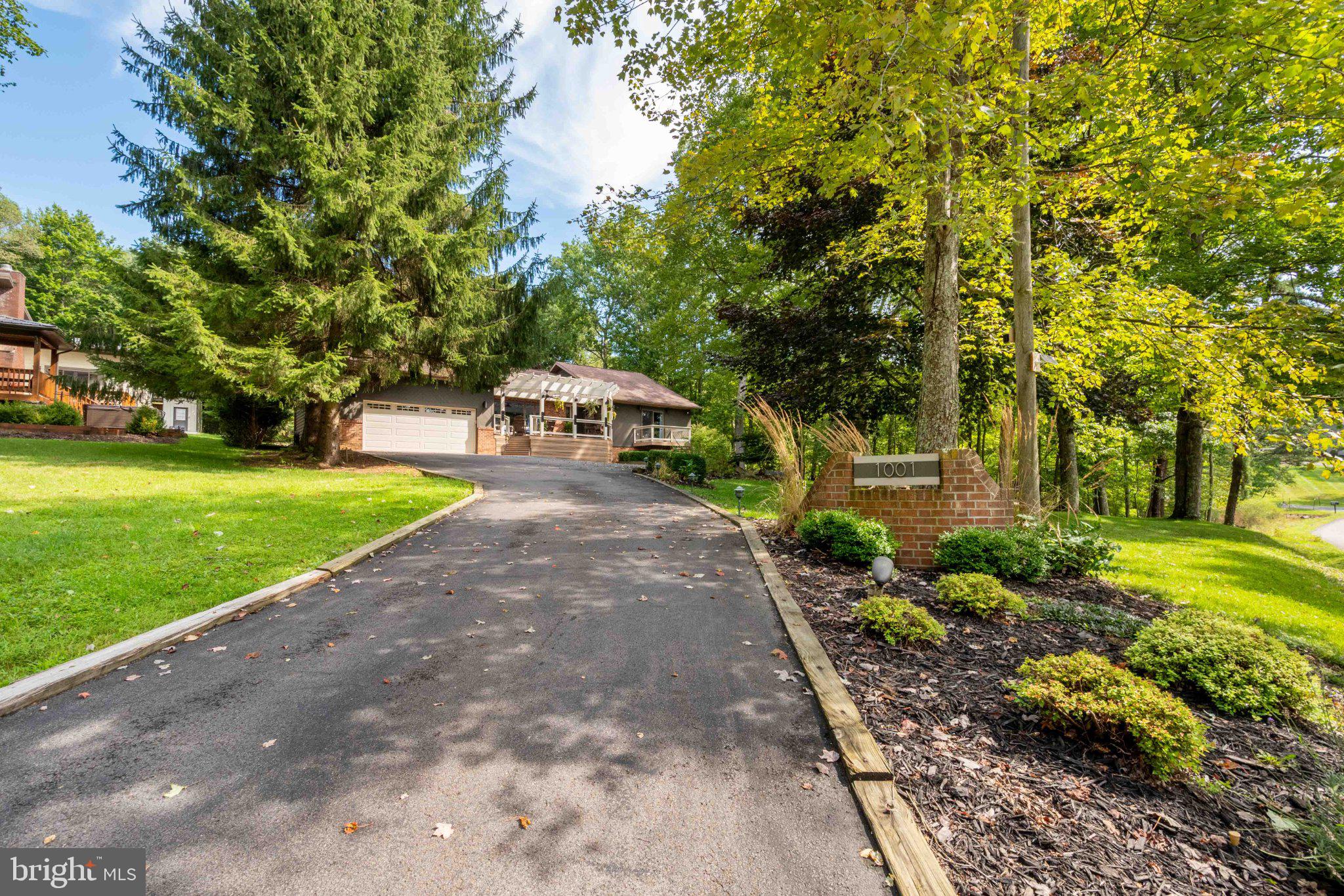 1001 Penn Point Road Oakland, MD 21550 - Photo 24 of 61 Charming driveway amidst lush greenery.