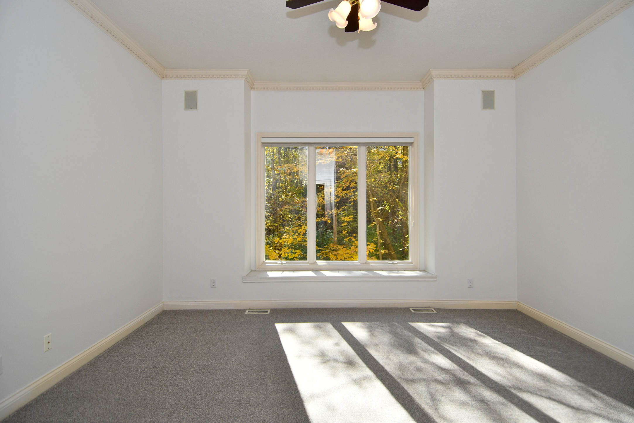 9316 Fall Creek Road Indianapolis, IN 46256 - Photo 30 of 79 Gallery Image 30