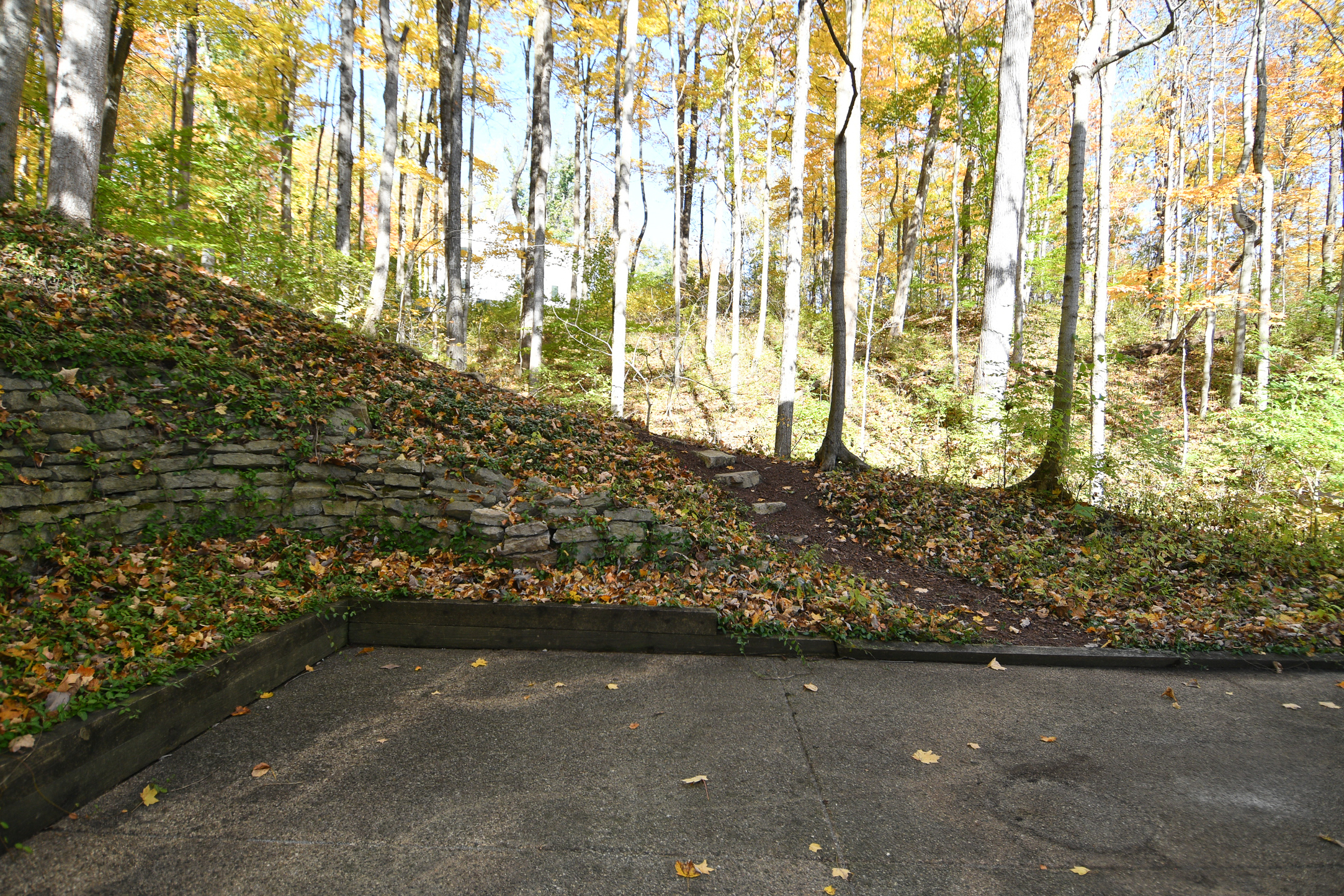 9316 Fall Creek Road Indianapolis, IN 46256 - Photo 56 of 79 Gallery Image 56