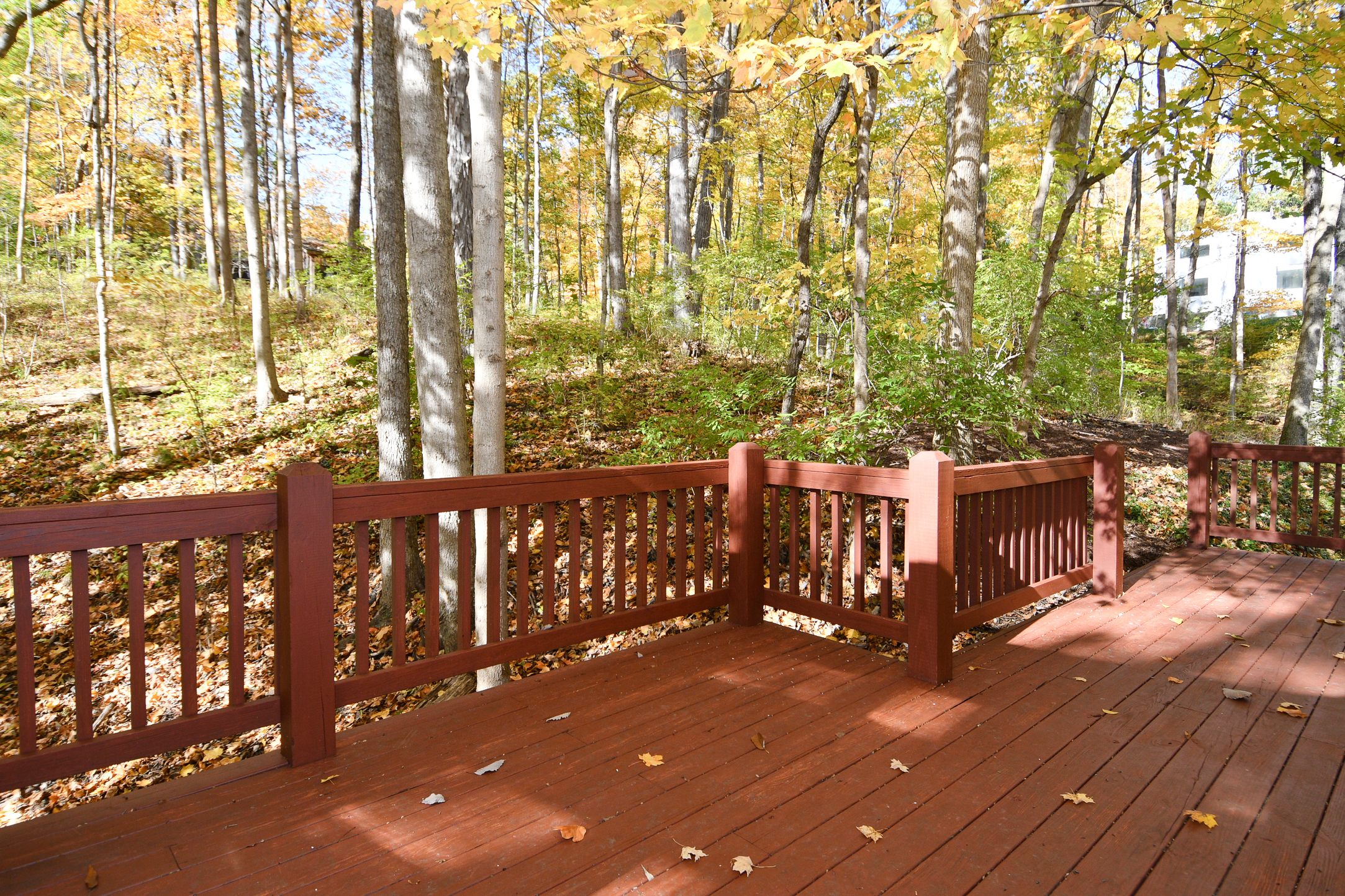 9316 Fall Creek Road Indianapolis, IN 46256 - Photo 72 of 79 Gallery Image 72