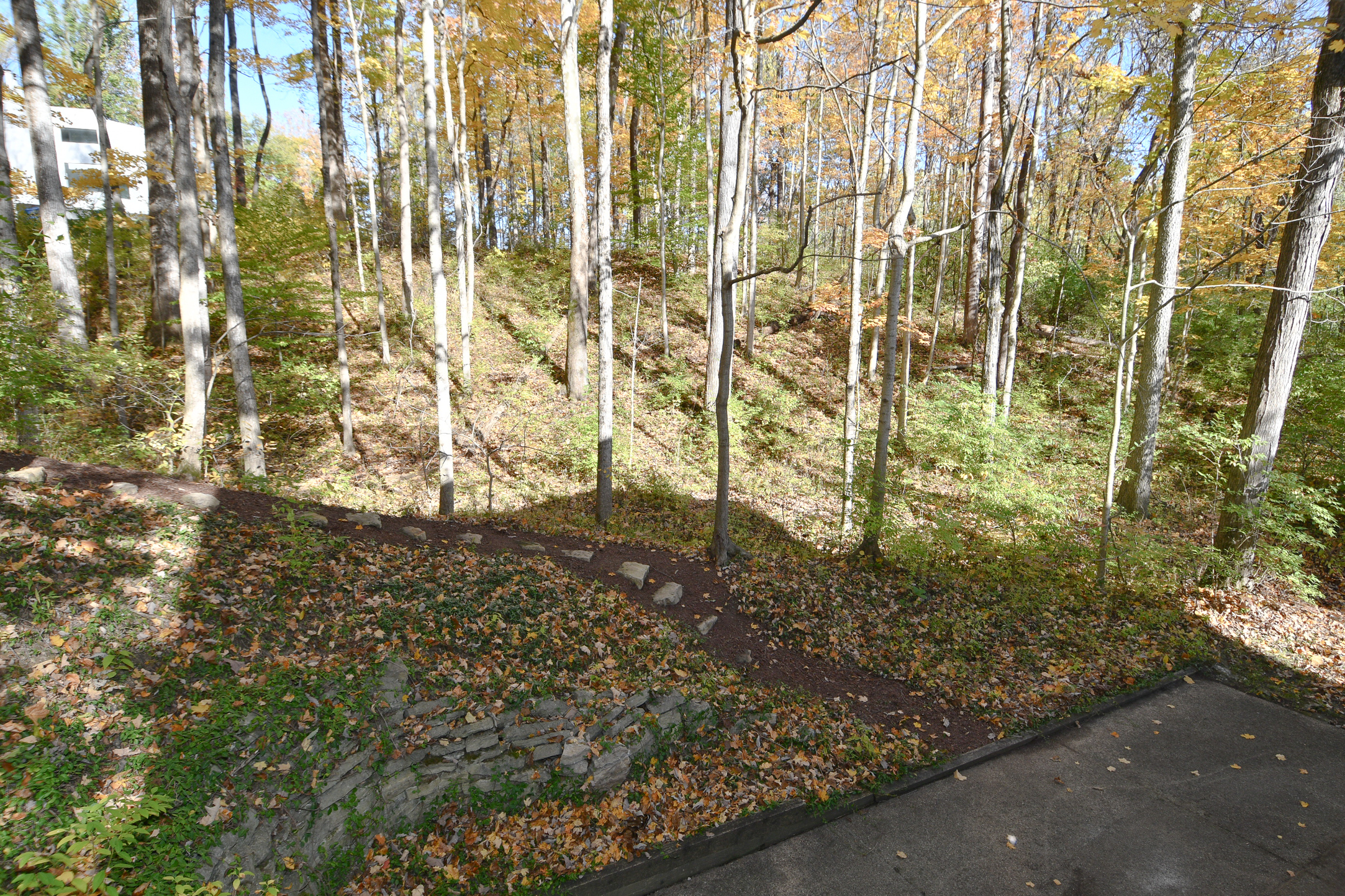9316 Fall Creek Road Indianapolis, IN 46256 - Photo 74 of 79 Gallery Image 74