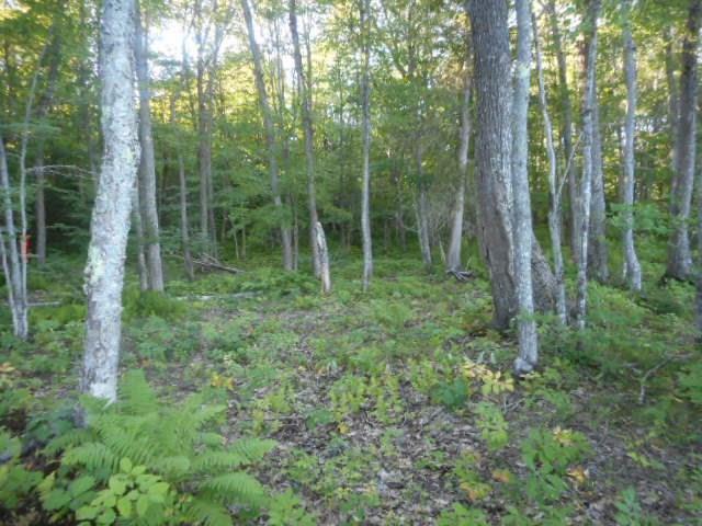 R3-18 Mattmiscontis Road Howland, ME 04448 - Photo 11 of 22 Photo