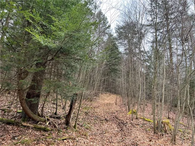 $1,350,000 | 0 Laurel Road, Sligo, PA 16255