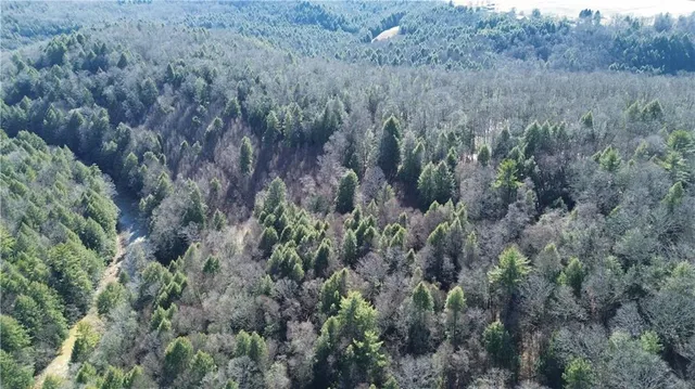 $1,350,000 | 0 Laurel Road, Sligo, PA 16255