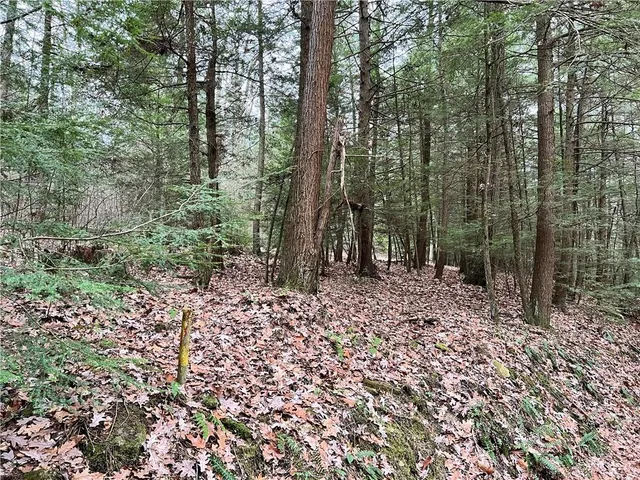 $1,350,000 | 0 Laurel Road, Sligo, PA 16255