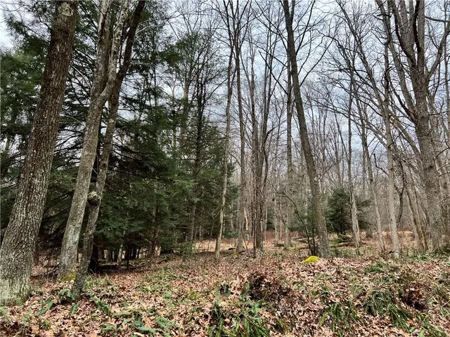 $1,350,000 | 0 Laurel Road, Sligo, PA 16255