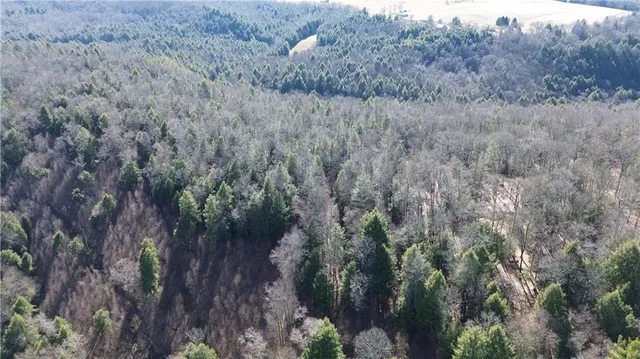 $1,350,000 | 0 Laurel Road, Sligo, PA 16255