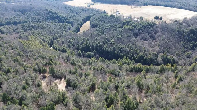 $1,350,000 | 0 Laurel Road, Sligo, PA 16255