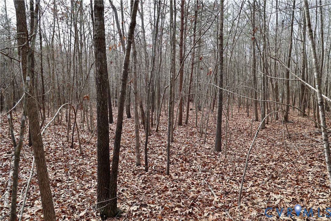 0 West Store Road Nathalie, VA 24577 - Photo 20 of 20 Gallery Image 20