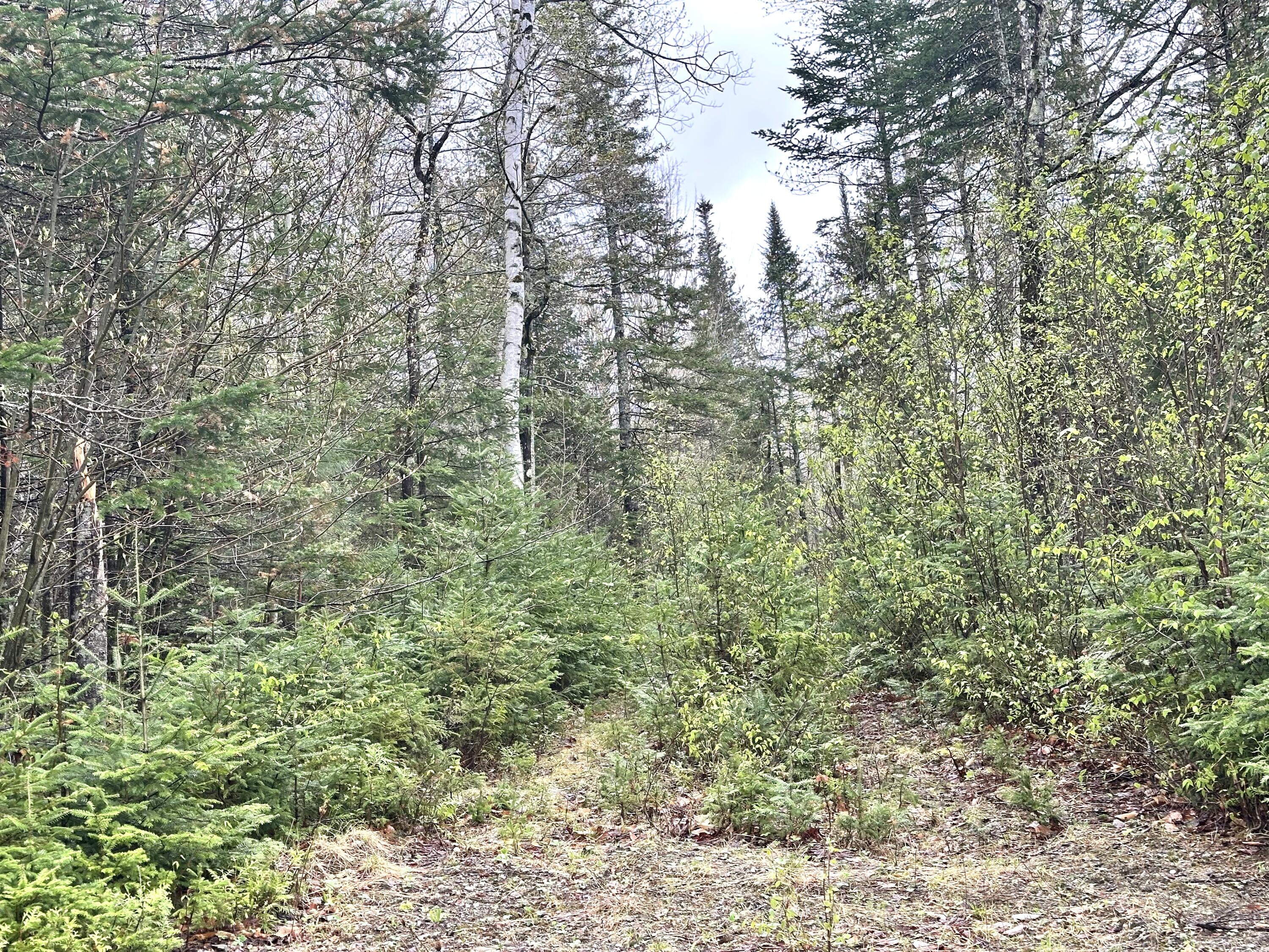 5.15 Baker Hill Road Strong, ME 04983 - Photo 1 of 6 Land view 1