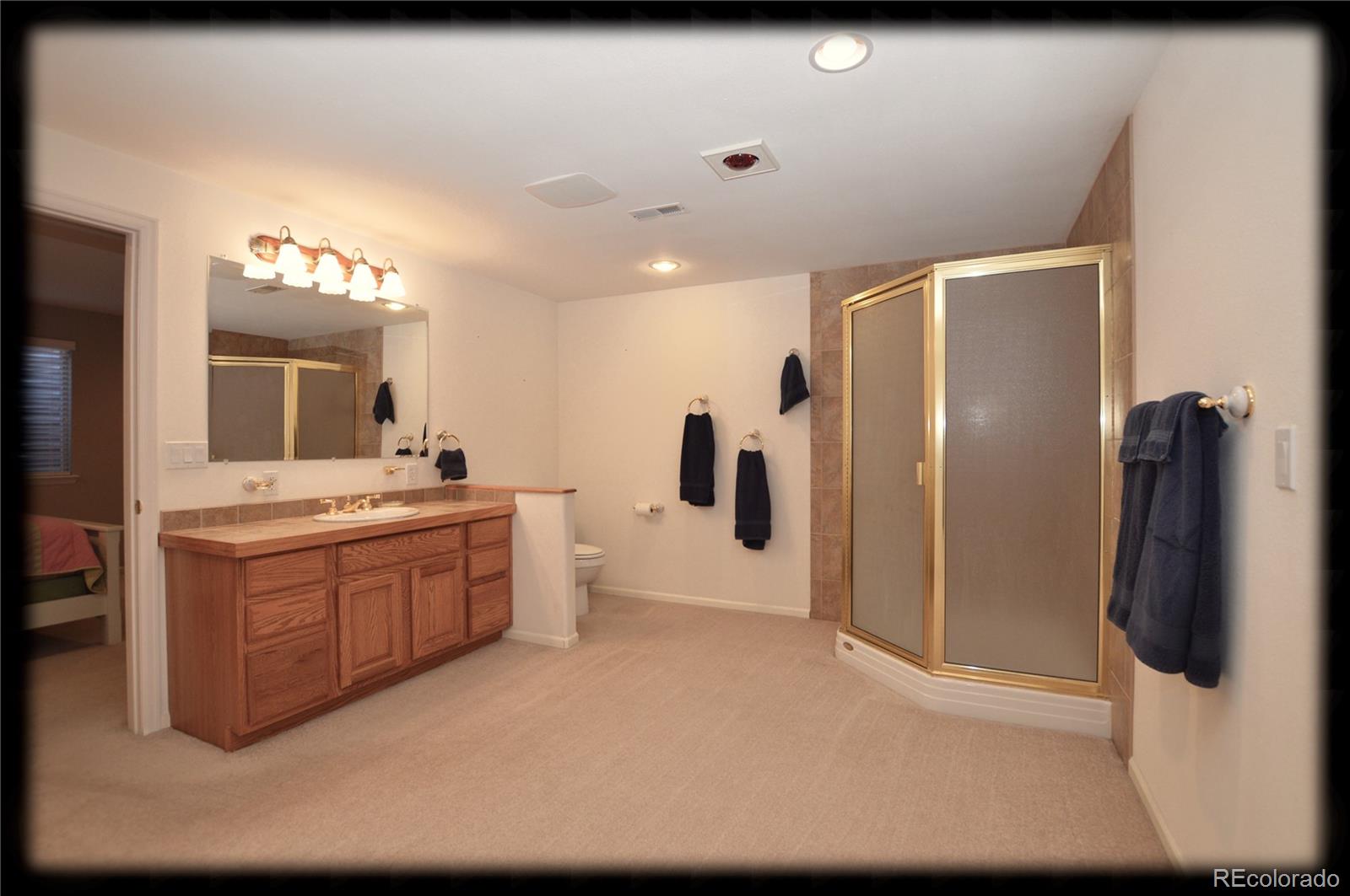 9575 South Hackberry Street Highlands Ranch, CO 80129 - Photo 21 of 29 Gallery Image 21