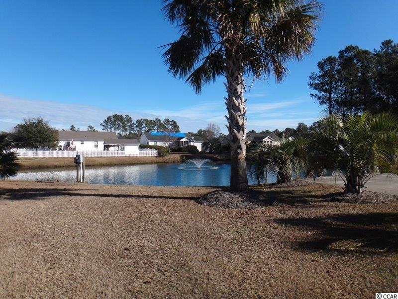 225 Stone Throw Drive Murrells Inlet, SC 29576 - Photo 18 of 24