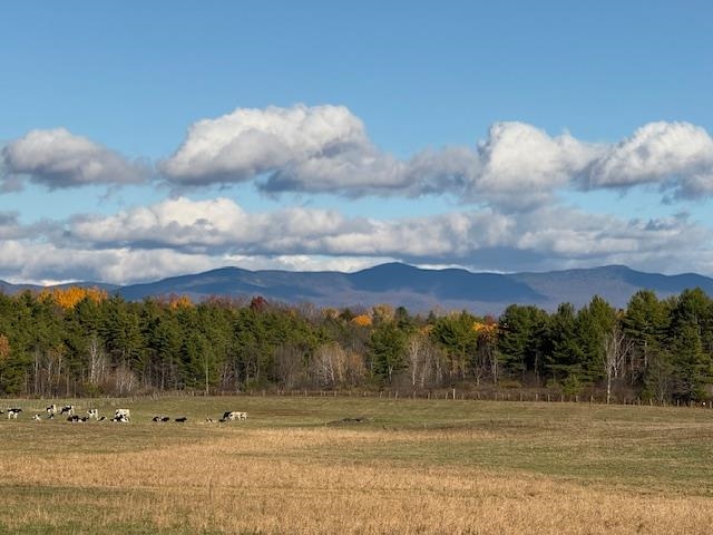 194 Old Sawmill Road Orwell, VT 05778 - Photo 15 of 58