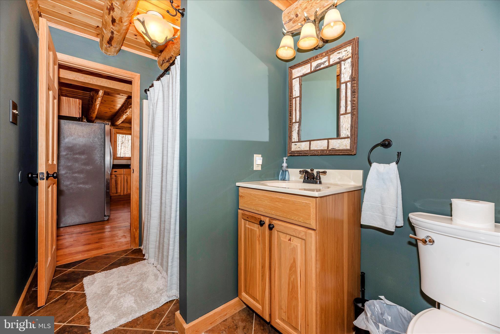 12804 Spruce Run Road Myersville, MD 21773 - Photo 32 of 72 a bathroom with a sink a toilet and shower