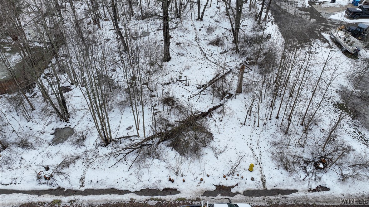 9775 Redwing Street Evans, NY 14006 - Photo 12 of 13