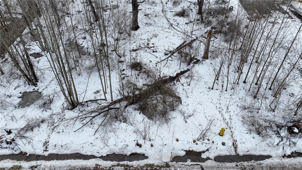 9775 Redwing Street Evans, NY 14006 - Photo 13 of 13