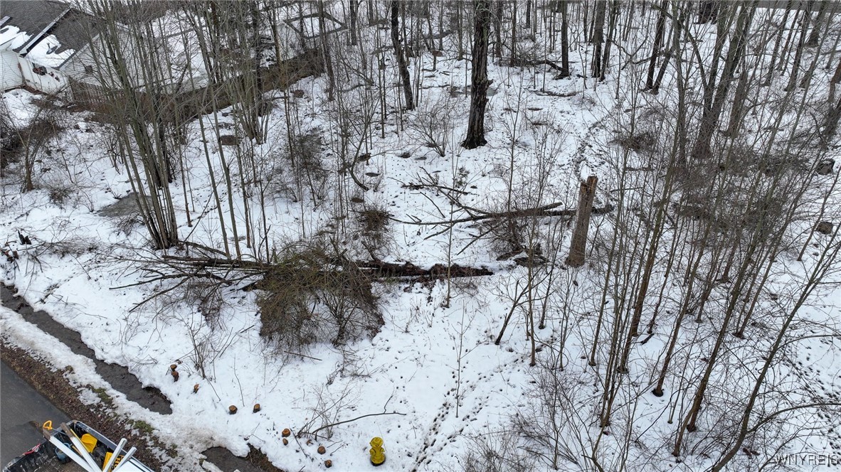 9775 Redwing Street Evans, NY 14006 - Photo 10 of 13