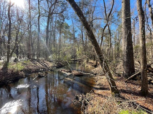 117 Oak Estates Way Ridgeville, SC 29472 - Photo 21 of 26 IMG_3796