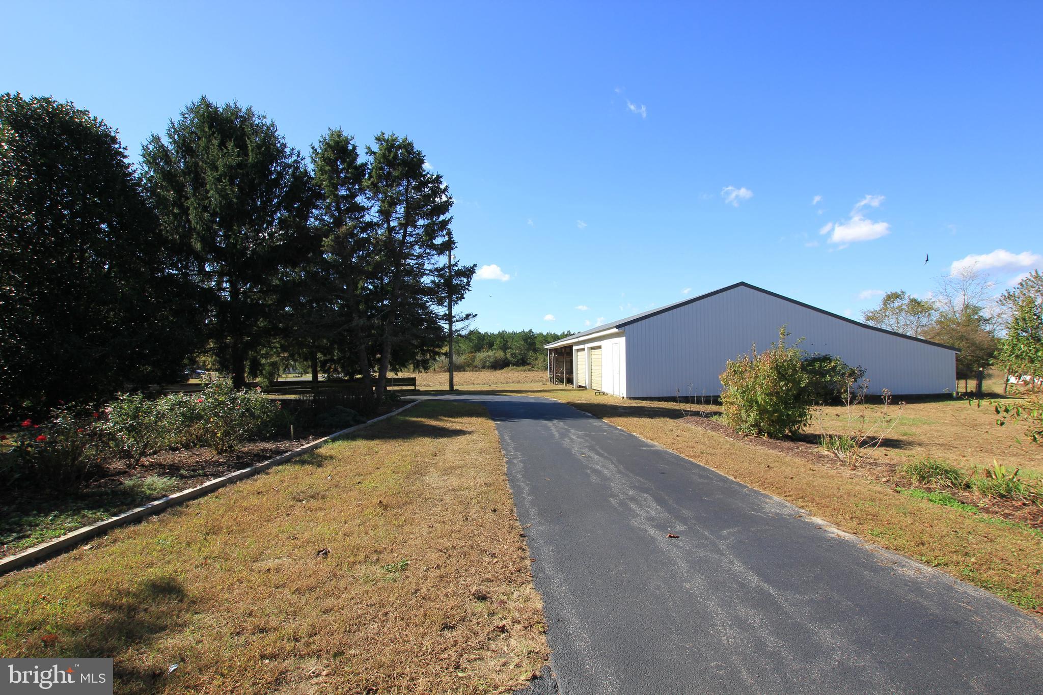 14751 Wilson Hill Road Georgetown, DE 19947 - Photo 3 of 25 Driveway/Outbuilding