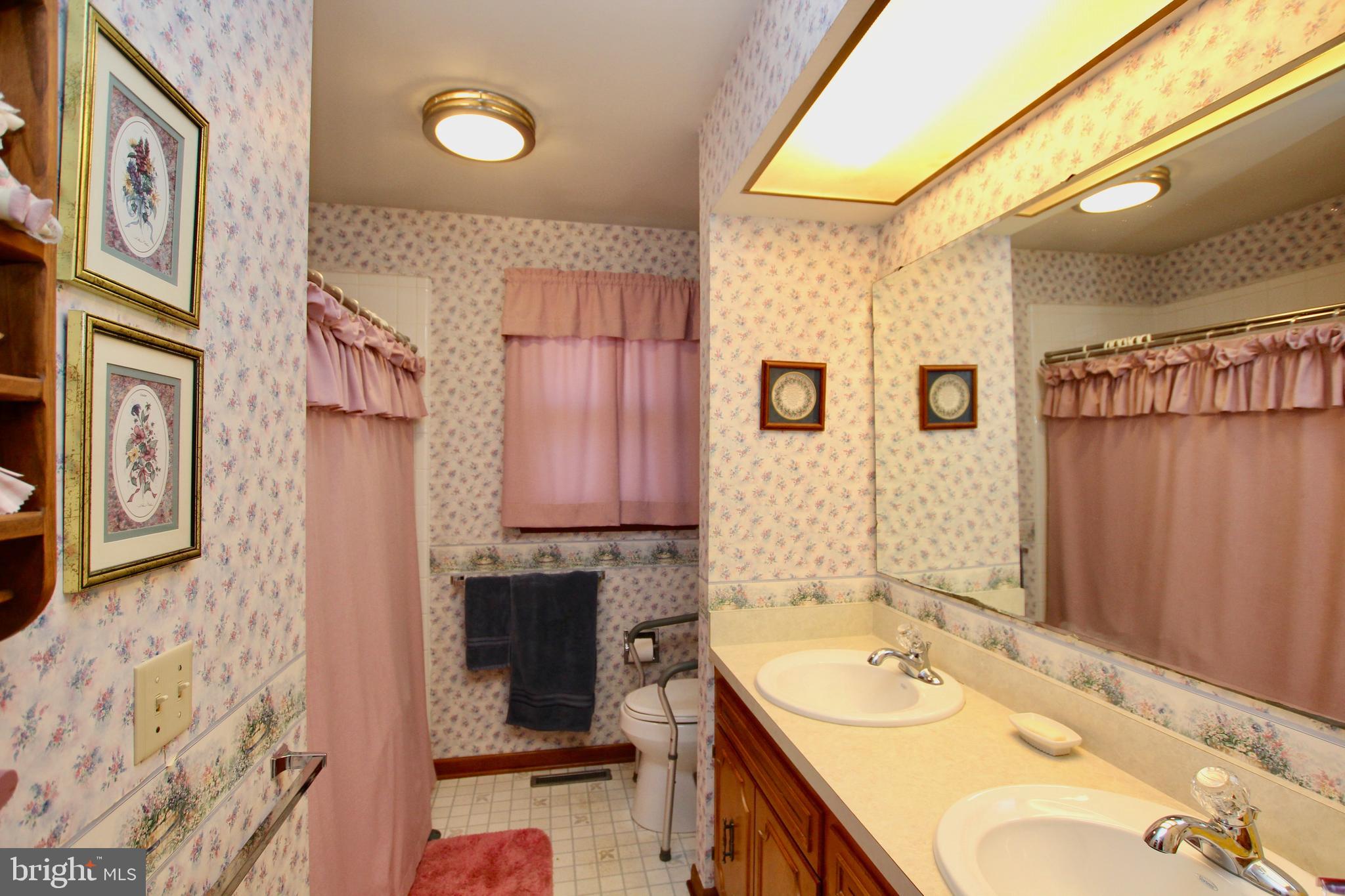 14751 Wilson Hill Road Georgetown, DE 19947 - Photo 23 of 25 bathroom