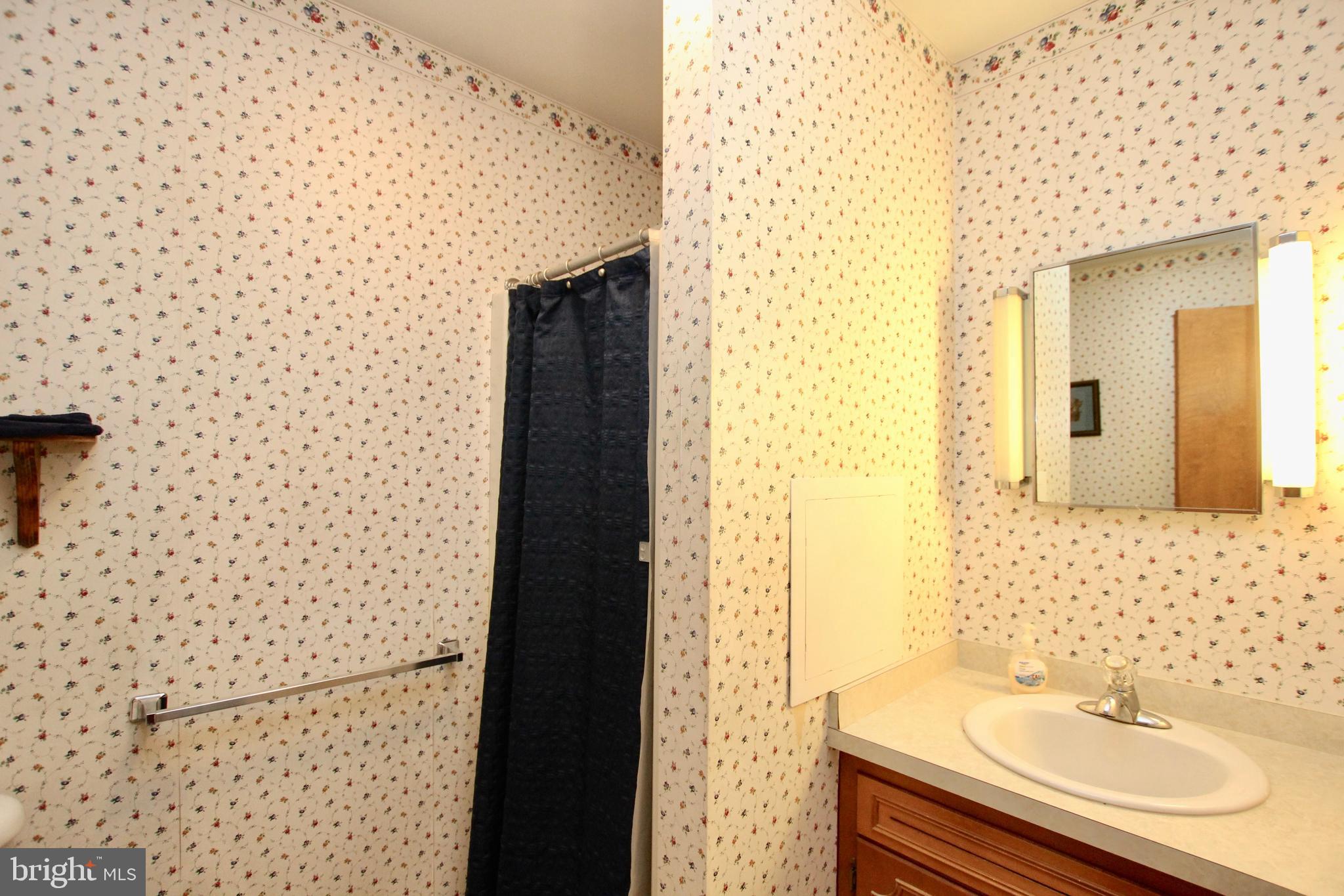 14751 Wilson Hill Road Georgetown, DE 19947 - Photo 24 of 25 bathroom