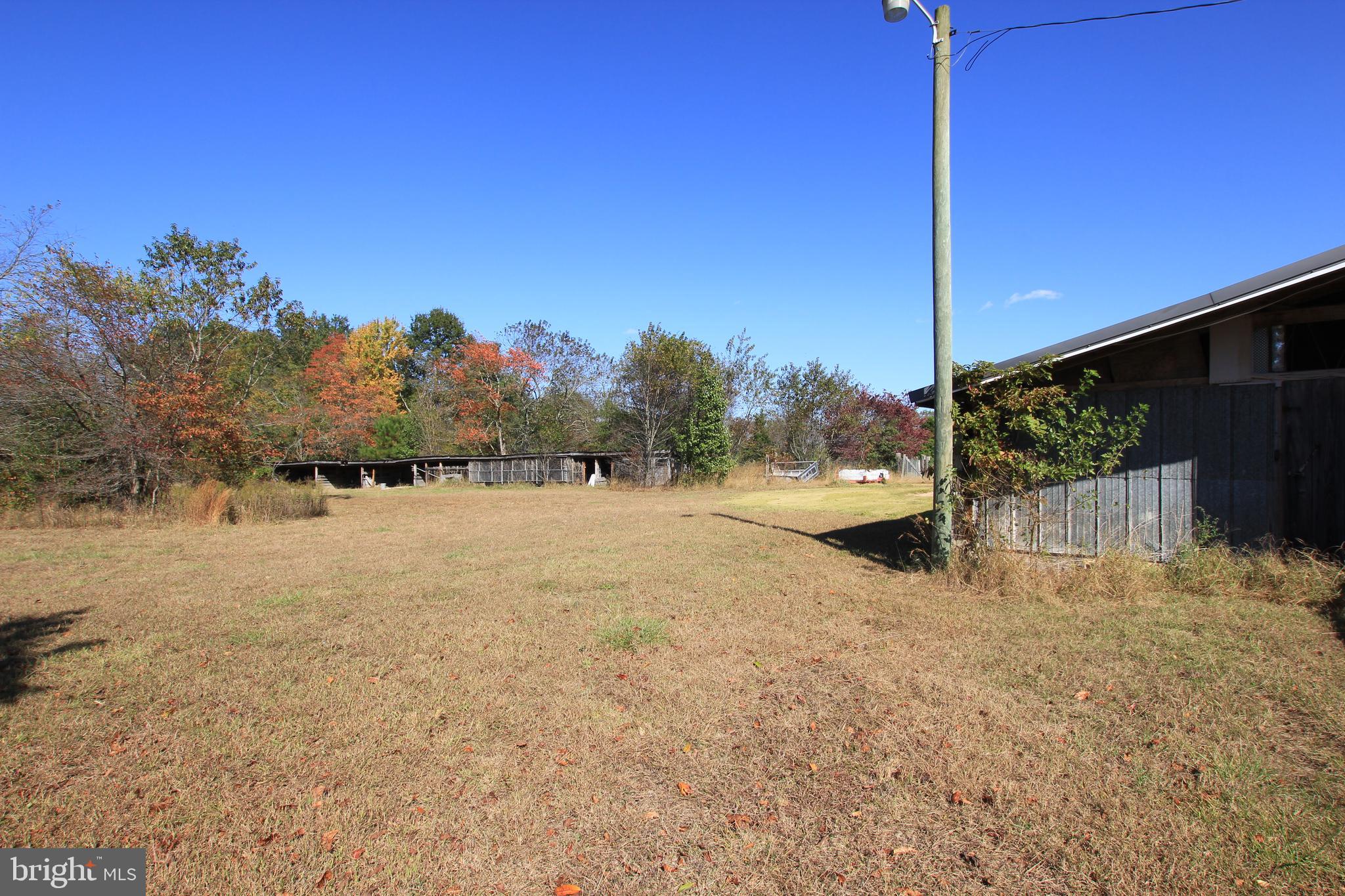 14751 Wilson Hill Road Georgetown, DE 19947 - Photo 7 of 25 pasture