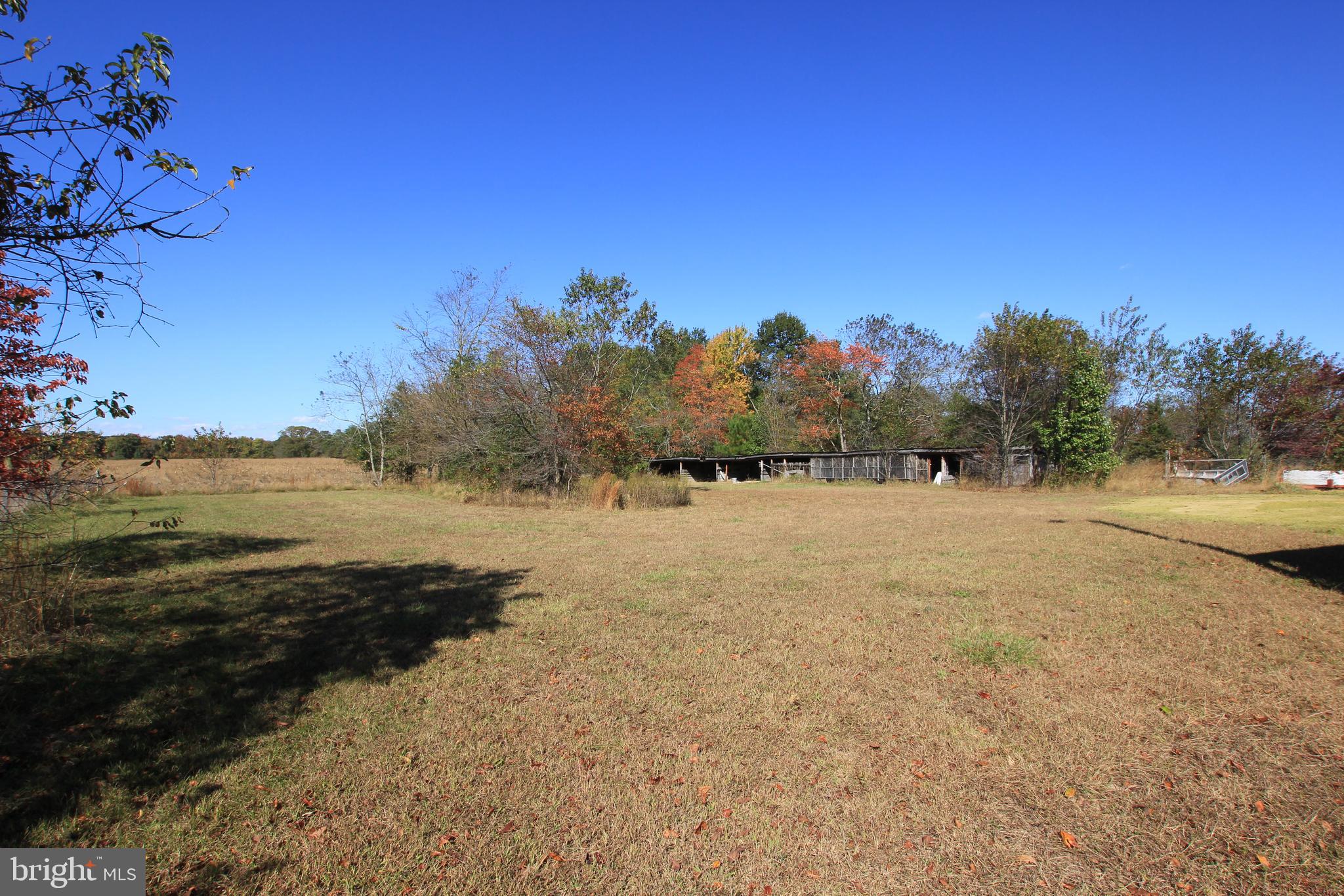 14751 Wilson Hill Road Georgetown, DE 19947 - Photo 8 of 25 pasture