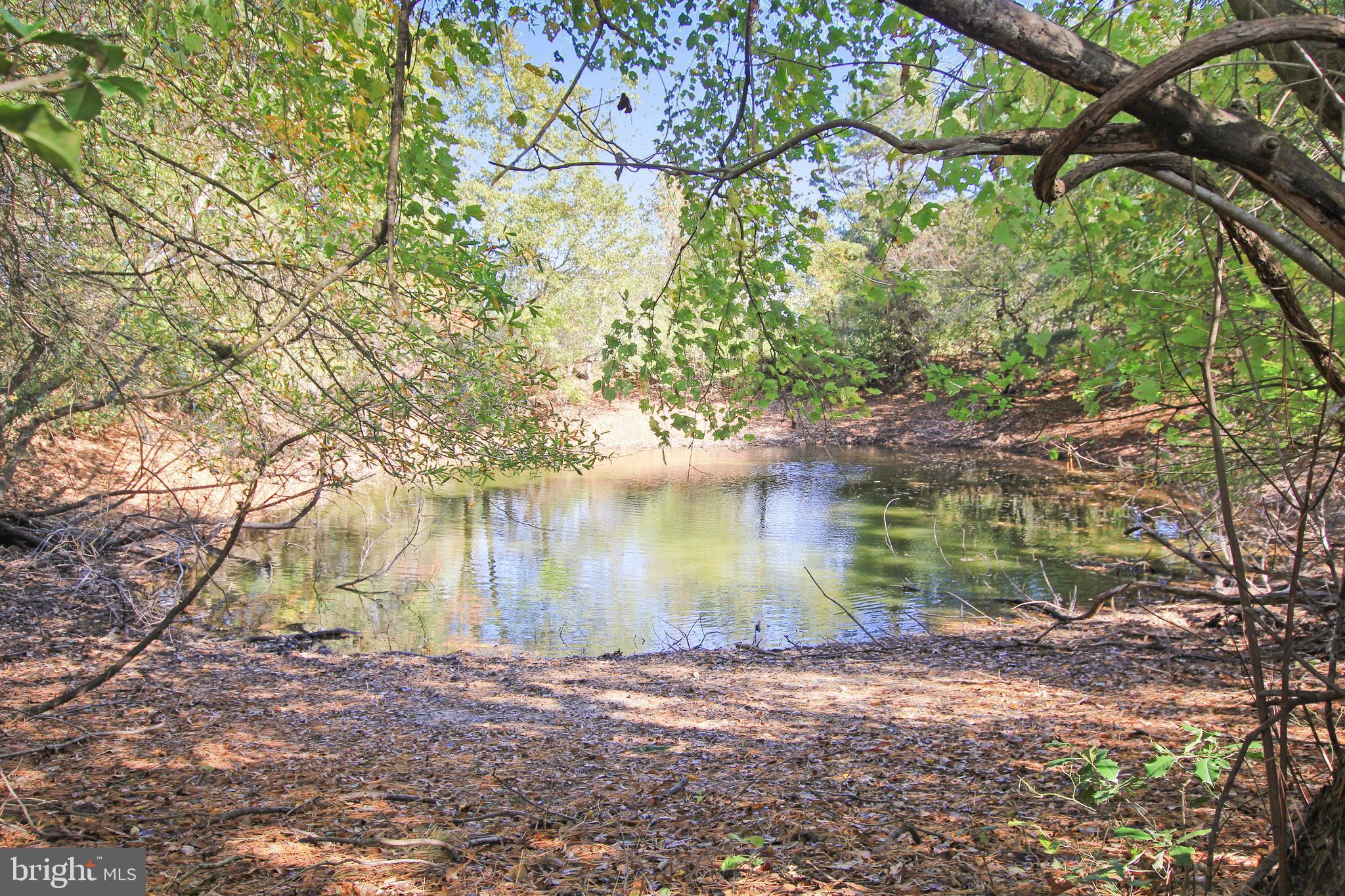 14751 Wilson Hill Road Georgetown, DE 19947 - Photo 9 of 25 Pond
