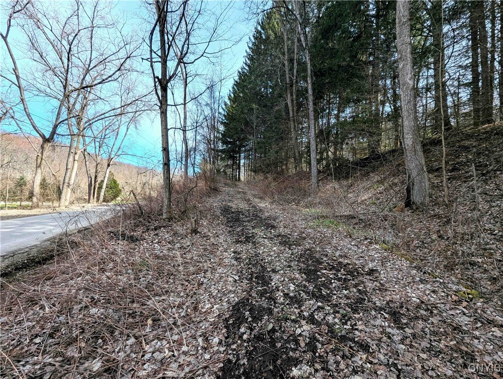 Ryan Hollow Road Cohocton, NY 14826 - Photo 1 of 1 Gallery Image 1