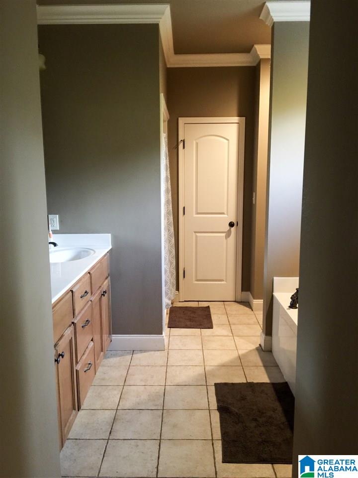 35 Allison Drive Oneonta, AL 35121 - Photo 6 of 12