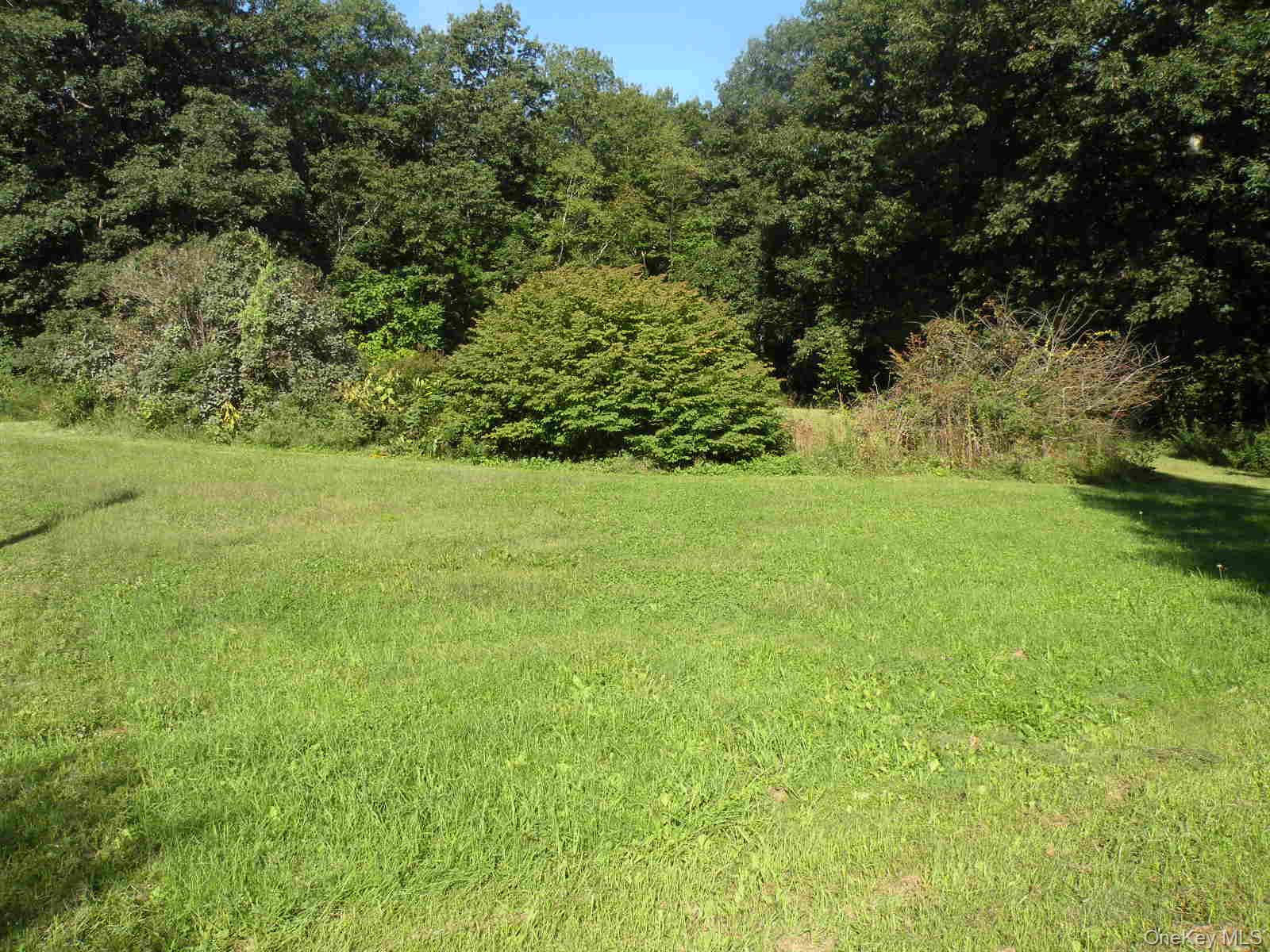 618 Bean River Road Millerton, NY 12546 - Photo 16 of 16 a view of yard with green space