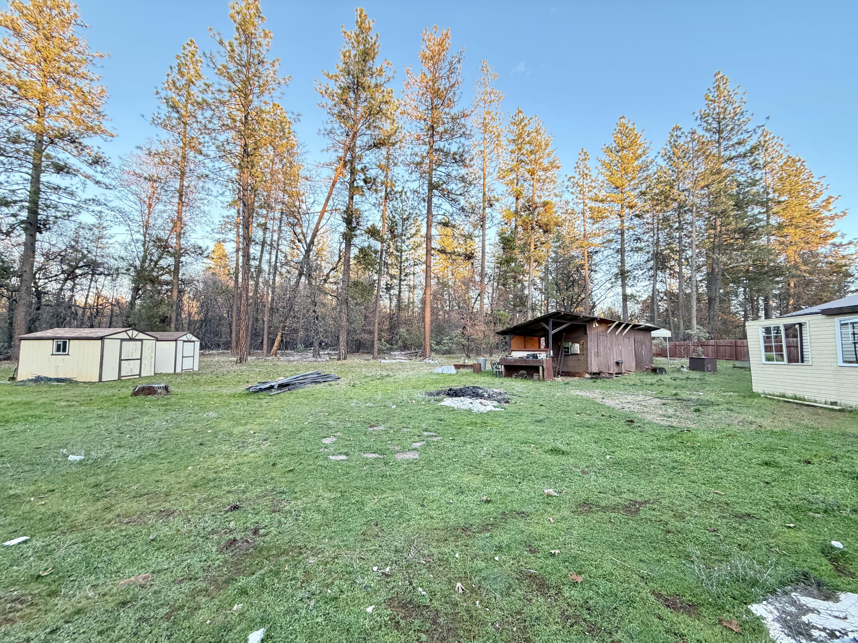 27832 Oak Run To Fern Road Oak Run, CA 96069 - Photo 21 of 28 IMG_9800