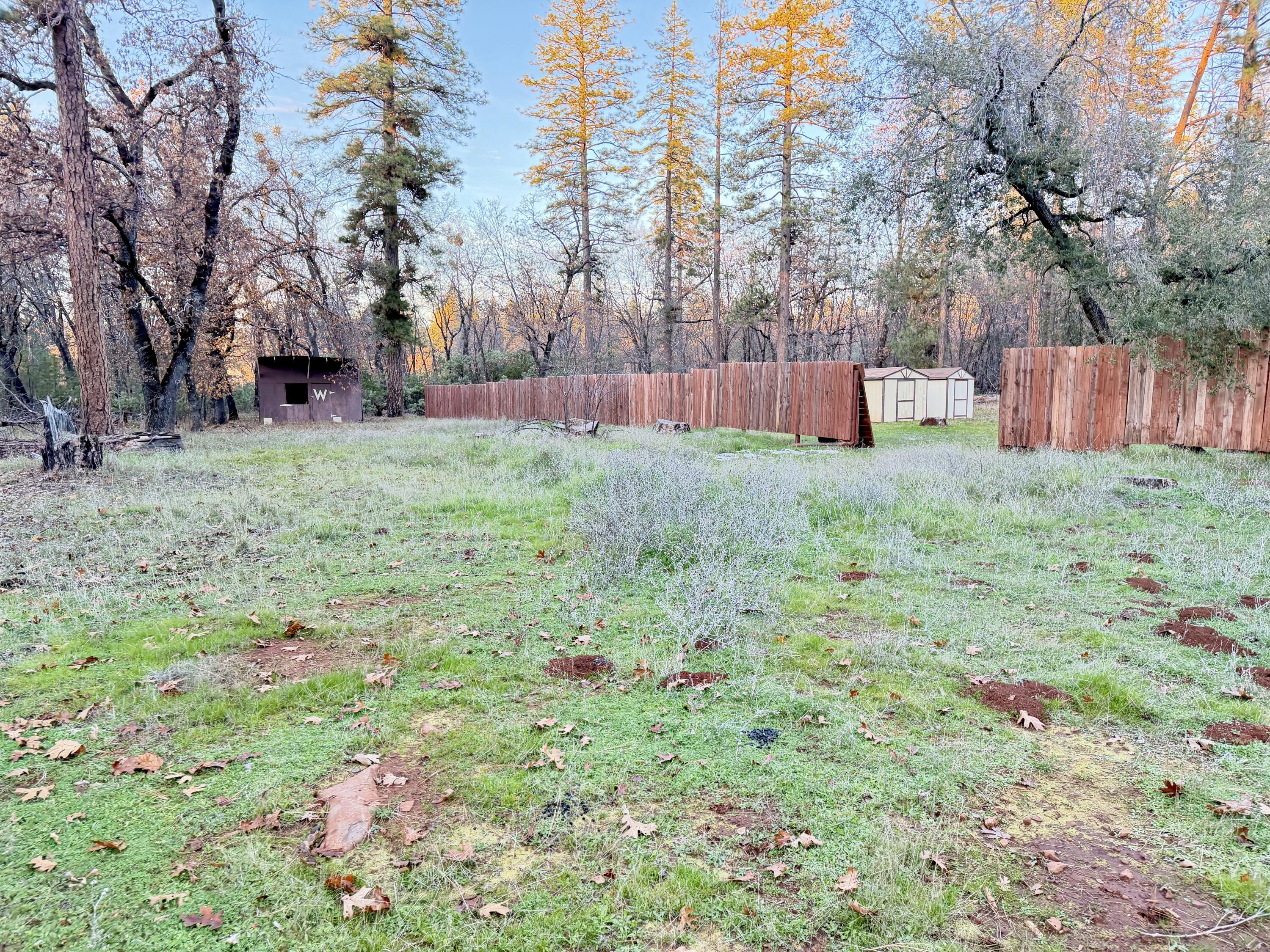 27832 Oak Run To Fern Road Oak Run, CA 96069 - Photo 23 of 28 IMG_9799