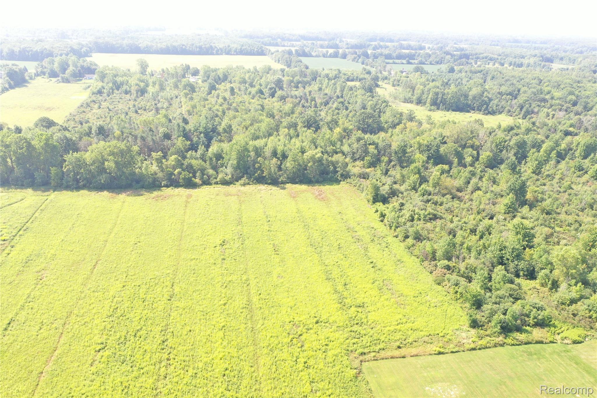 1 Foley Road Emmett, MI 48022 - Photo 2 of 16 DJI_0342.JPG