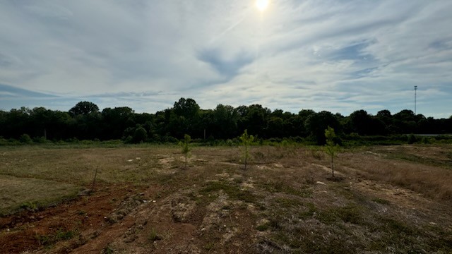 3627 Banner Road Columbia, TN 38401 - Photo 8 of 57 Gallery Image 8