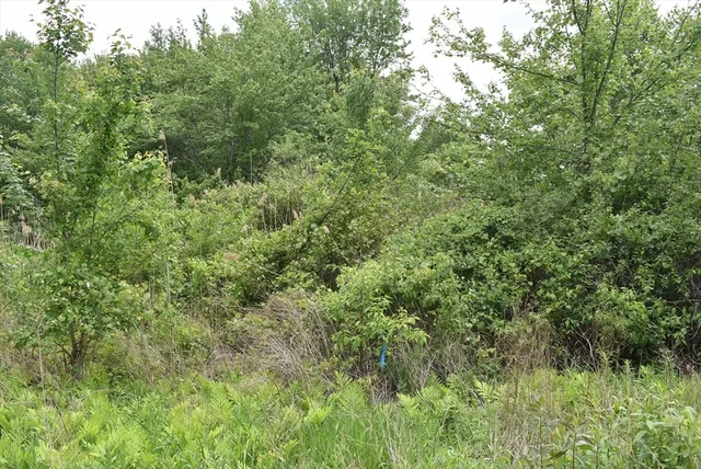 an aerial view of house with yard