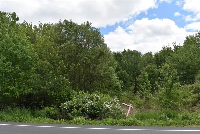 a view of a yard and car parked